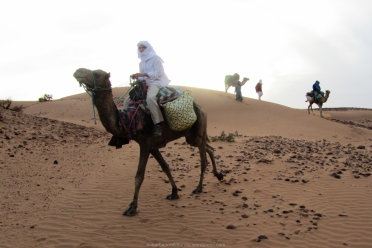 Nómada del Sáhara (Marruecos)