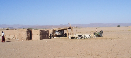 Pastores del Sáhara (Marruecos)