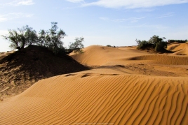 Dunas del Sáhara (Marruecos)