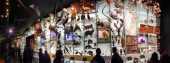 Museo de Historia Natural - Nueva York