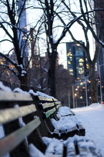 Nieve en Central Park