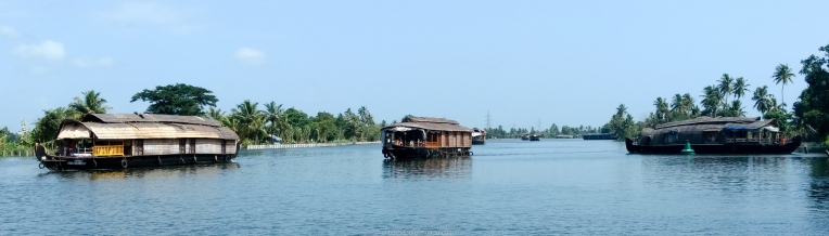 House boats en Alapuza - Kerala - India
