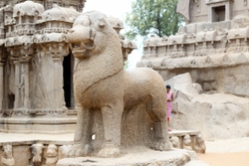 Animal Sagrado en Pancha Rathas - Mamallapuram - India