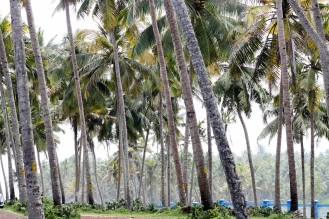 Varkala - Kerala - India