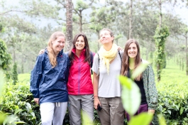 Las chicas entre las plantas de té - Kerala - India