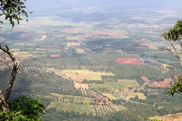 Vistas de un valle de Tamil Nadu - Kerala - India