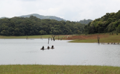 Parque nacional Periyar - Kerala - India