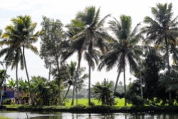 Alappuzha - Kerala - India