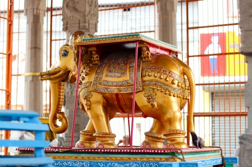 Elefante frente al Templo de Kapaleeshawarar en Chennai - India