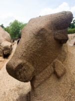 Animal sagrado Pancha Rathas - Mamallapuram - India